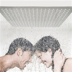 Waterworks Shower Head